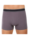 andrie Moške boksarice Andrie večbarvne (PS 5828/light gray)