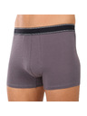 andrie Moške boksarice Andrie večbarvne (PS 5828/light gray)