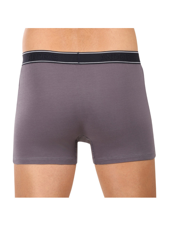 andrie Moške boksarice Andrie večbarvne (PS 5828/light gray)