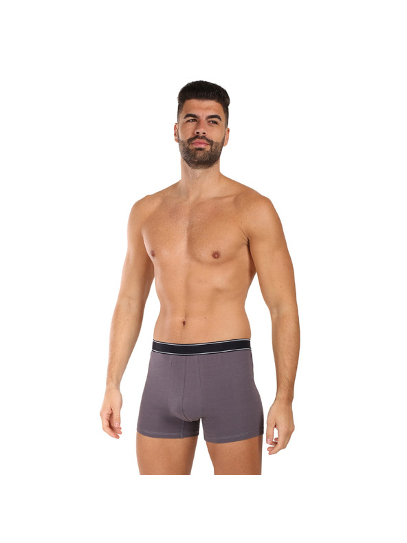 andrie Moške boksarice Andrie večbarvne (PS 5828/light gray)