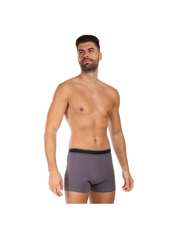 andrie Moške boksarice Andrie večbarvne (PS 5828/light gray)