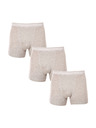 Calvin Klein Set treh - moške boksarice Calvin Klein sive