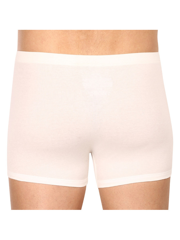 Calvin Klein Set treh - moške boksarice Calvin Klein večbarvne