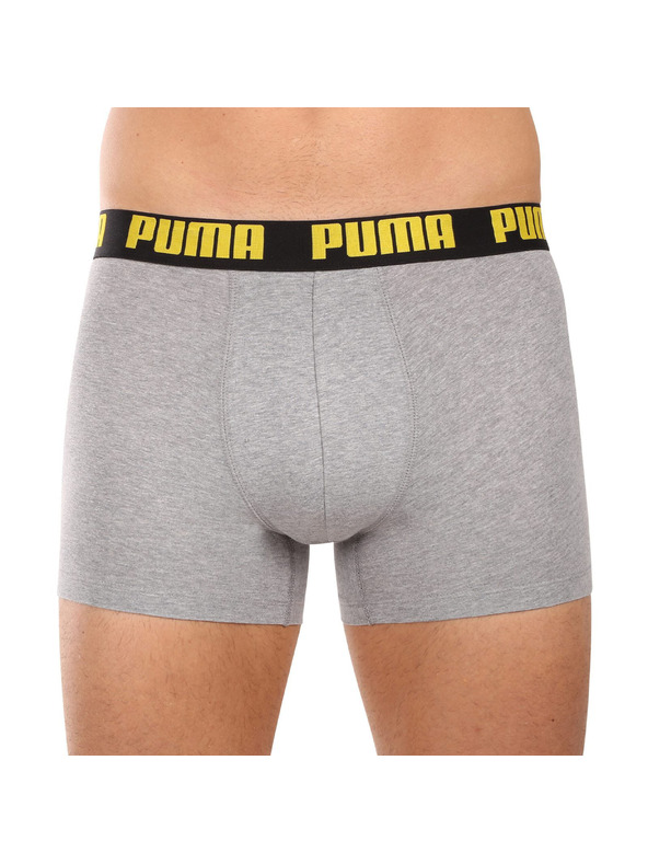 Puma Komplet dveh - moški boksaški del Puma večbarvni