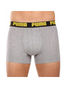 Puma Komplet dveh - moški boksaški del Puma večbarvni