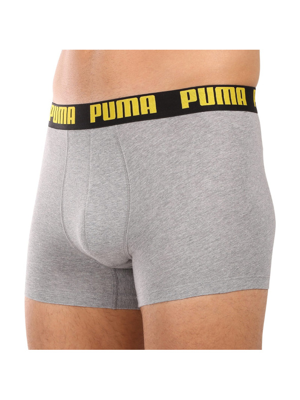 Puma Komplet dveh - moški boksaški del Puma večbarvni