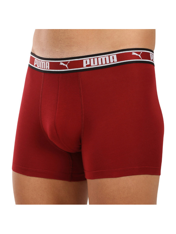 Puma Komplet dveh - moški boksaški del Puma večbarvni
