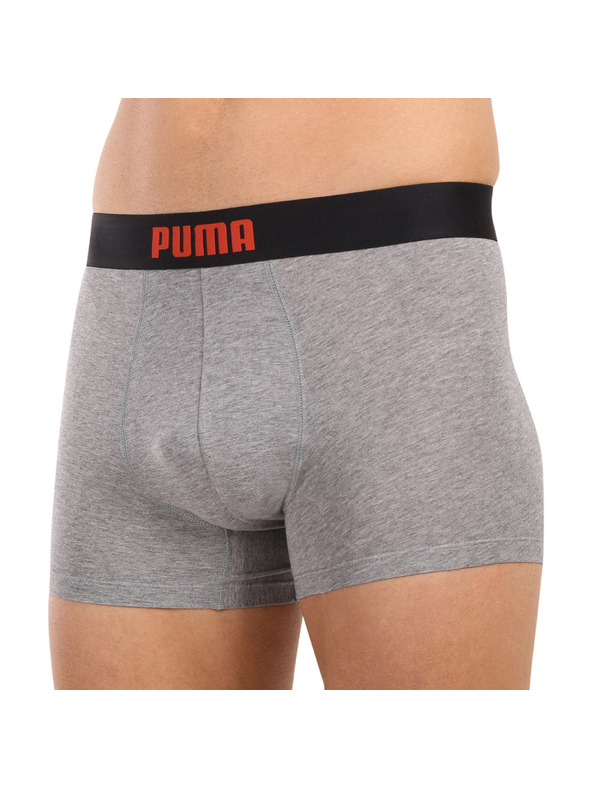 Puma Komplet dveh - moški boksaški del Puma večbarvni