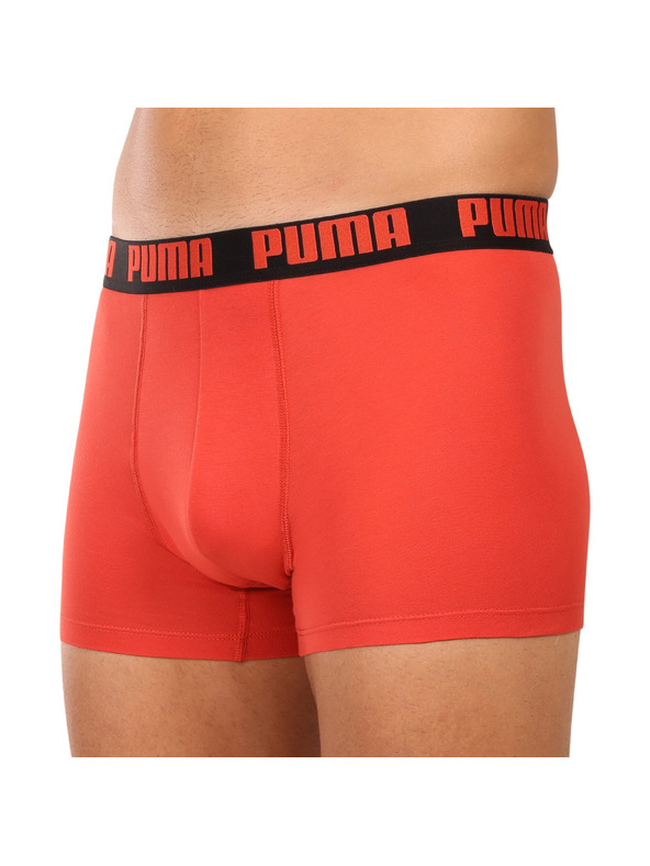 Puma Komplet dveh - moški boksaški del Puma večbarvni