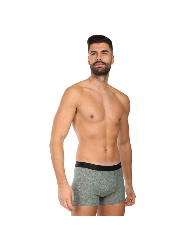 Puma Komplet dveh - moški boksaški del Puma večbarvni
