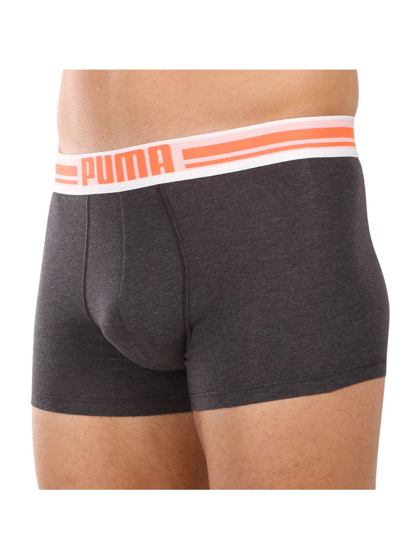 Puma Komplet dveh - moški boksaški del Puma večbarvni