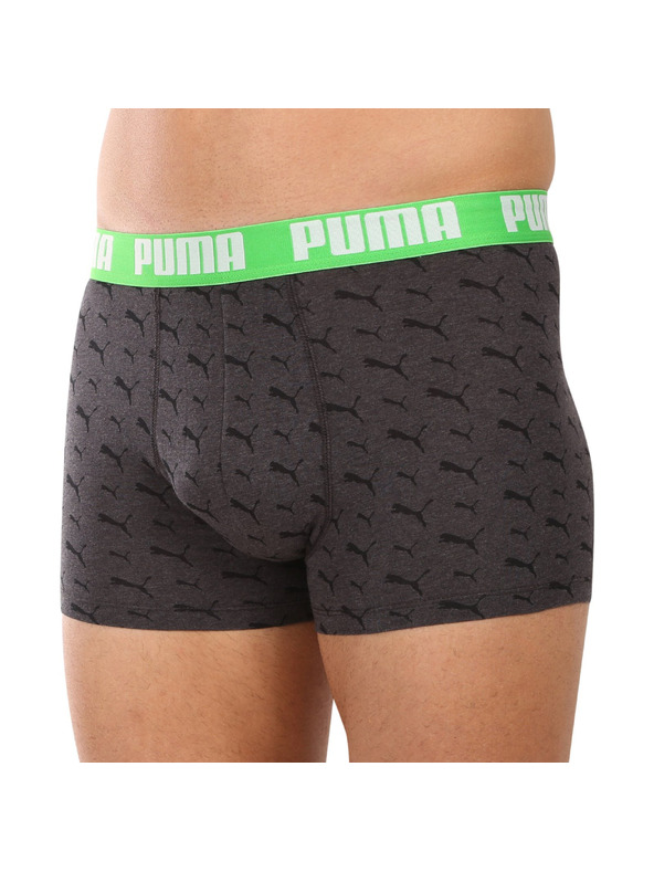 Puma Komplet dveh - moški boksaški del Puma večbarvni
