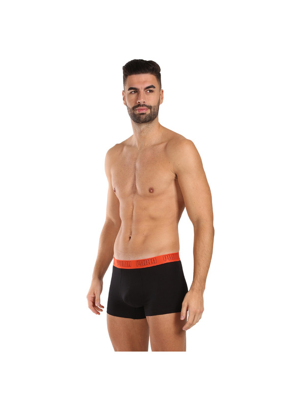 Puma Komplet dveh - moški boksaški del Puma večbarvni