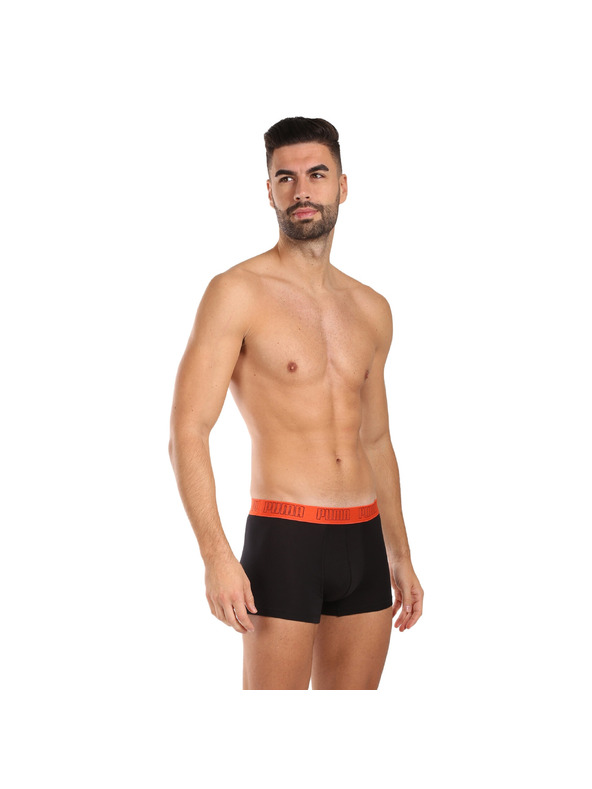 Puma Komplet dveh - moški boksaški del Puma večbarvni