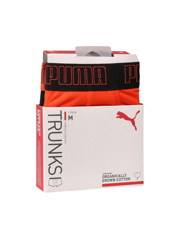 Puma Komplet dveh - moški boksaški del Puma večbarvni