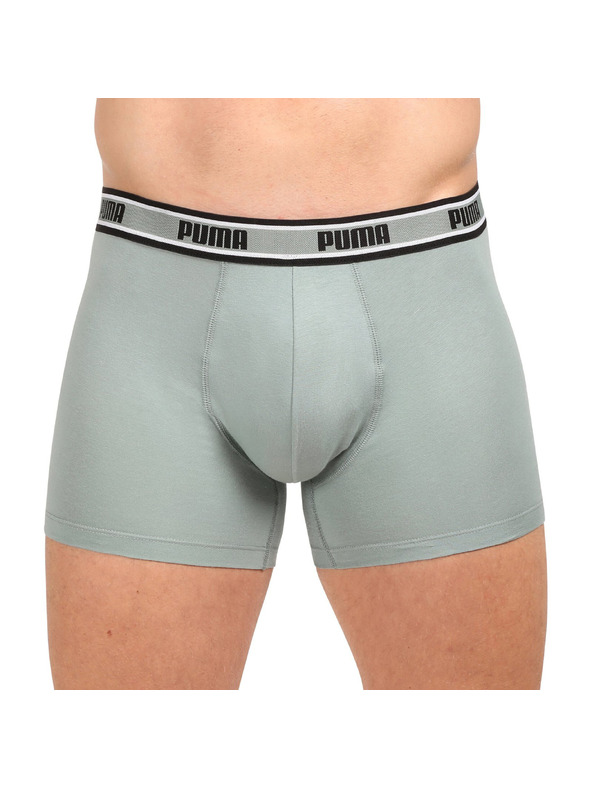 Puma Komplet dveh - moški boksaški del Puma večbarvni