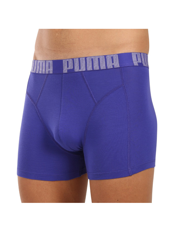 Puma Komplet dveh - moški boksaški del Puma večbarvni