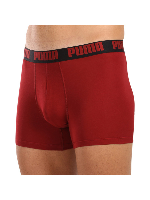 Puma Komplet dveh - moški boksaški del Puma večbarvni