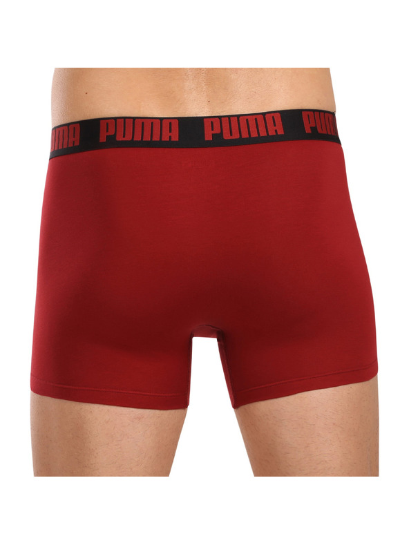 Puma Komplet dveh - moški boksaški del Puma večbarvni
