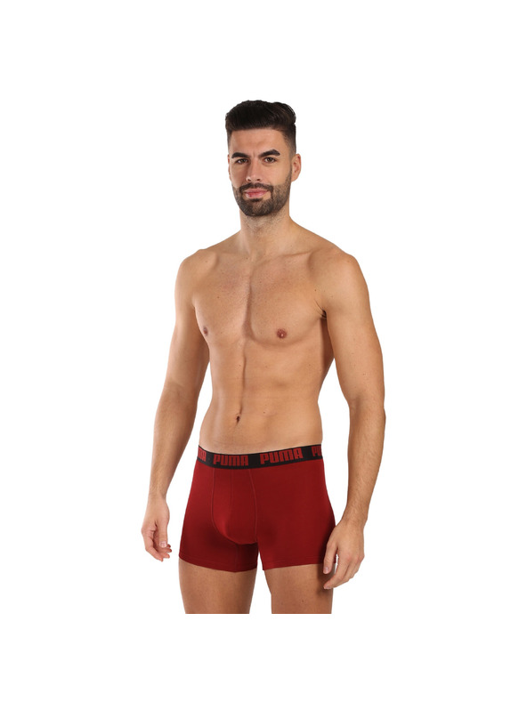 Puma Komplet dveh - moški boksaški del Puma večbarvni