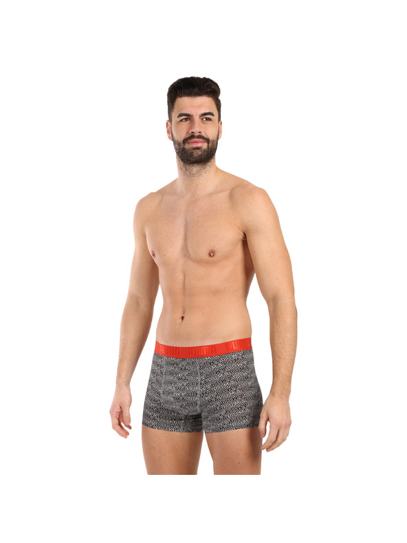 Puma Komplet dveh - moški boksaški del Puma večbarvni