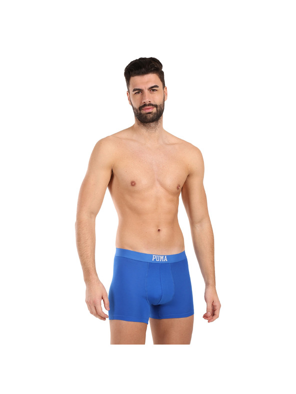 Puma Komplet dveh - moški boksaški del Puma večbarvni