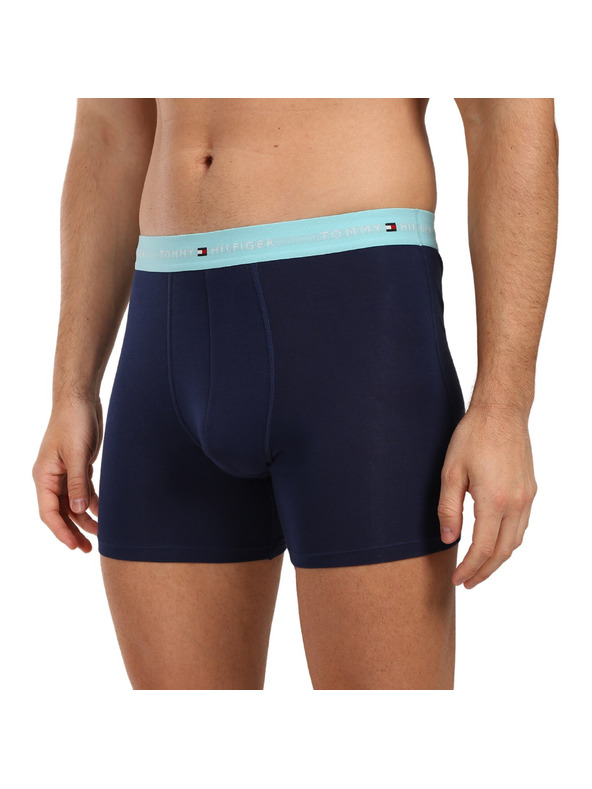 Tommy Hilfiger Komplet treh - moške boksarice Tommy Hilfiger temno modre