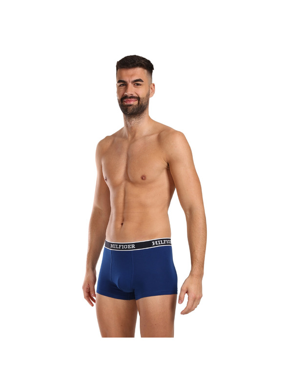 Tommy Hilfiger Komplet treh - moške boksarice Tommy Hilfiger večbarvne