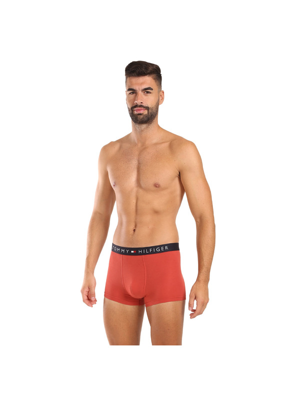 Tommy Hilfiger Komplet treh - moške boksarice Tommy Hilfiger večbarvne