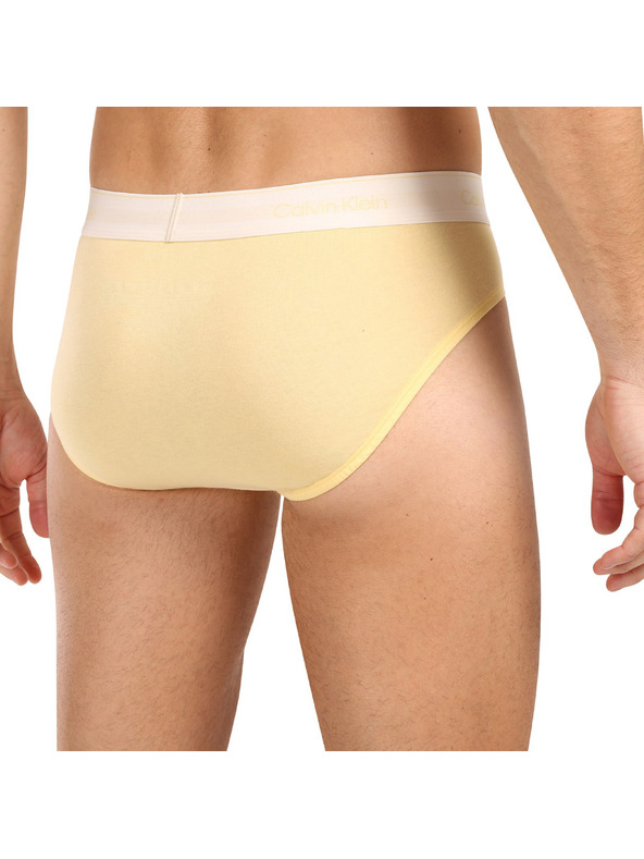 Calvin Klein Komplet pet - moške spodnjice Calvin Klein večbarvne