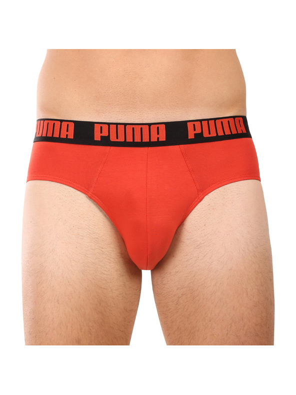 Puma Komplet dve - moške spodnjice Puma večbarvne