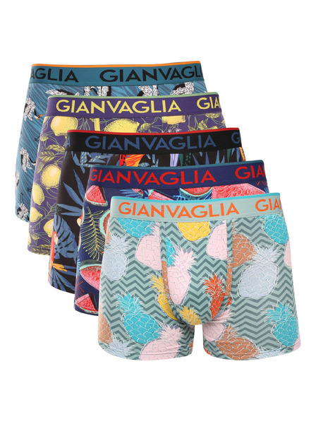 Gianvaglia Komplet petih - moške boksarice Gianvaglia večbarvne