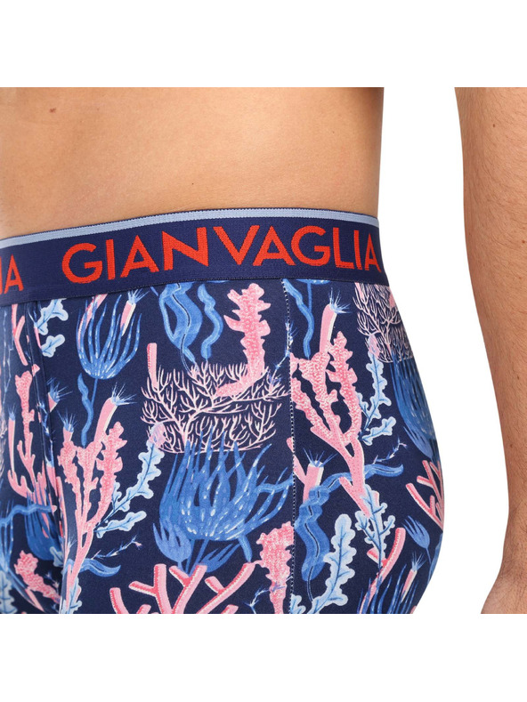 Gianvaglia Komplet petih - moške boksarice Gianvaglia večbarvne