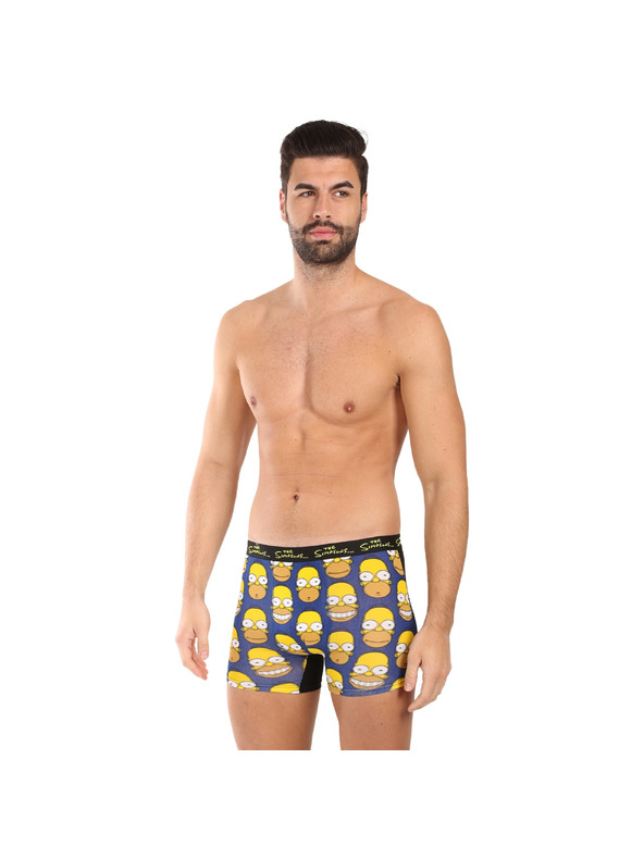 Trenýrkárna Moške boksarice The Simpsons večbarvne