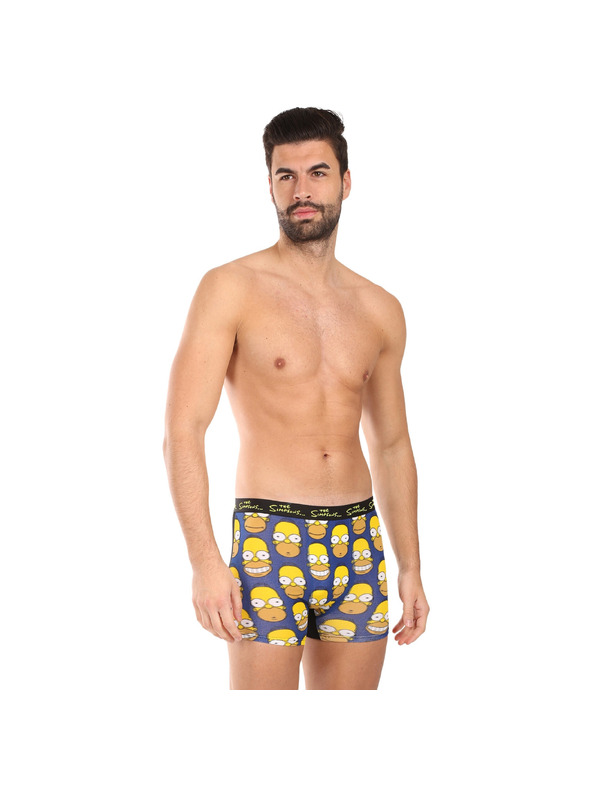 Trenýrkárna Moške boksarice The Simpsons večbarvne