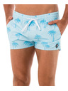 69slam Moške plavalne hlače 69SLAM PALM BLUE