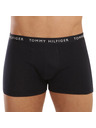 Tommy Hilfiger Underwear Oprijete boksarice 3 Piece