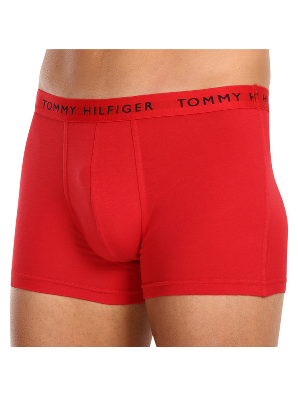 Tommy Hilfiger Underwear Oprijete boksarice 3 Piece