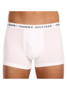 Tommy Hilfiger Underwear Oprijete boksarice 3 Piece