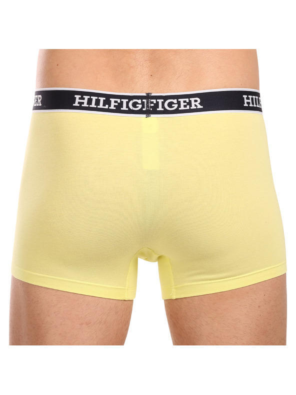 Tommy Hilfiger Underwear Oprijete boksarice 3 Piece
