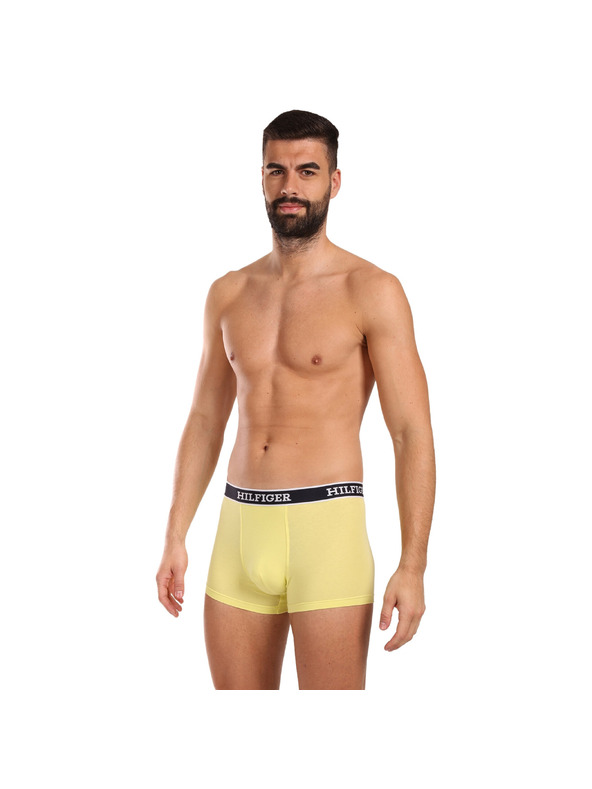 Tommy Hilfiger Underwear Oprijete boksarice 3 Piece