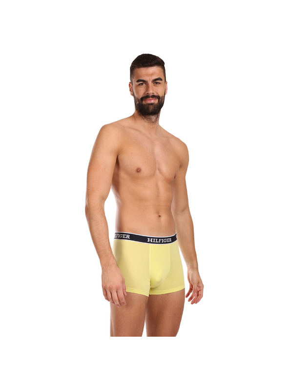 Tommy Hilfiger Underwear Oprijete boksarice 3 Piece