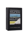 Tommy Hilfiger Underwear Oprijete boksarice 3 Piece