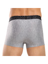 Under Armour Moške bokserice Under Armour M UA Perf Tech (3pk)