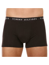 Tommy Hilfiger Oprijete boksarice 3 Piece