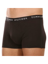 Tommy Hilfiger Oprijete boksarice 3 Piece