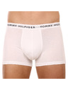 Tommy Hilfiger Oprijete boksarice 3 Piece