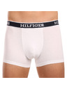Tommy Hilfiger Oprijete boksarice 3 Piece
