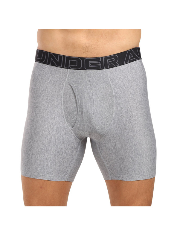Under Armour Moške boksarice Under Armour M UA Perf Tech Nov 6in - 3pk