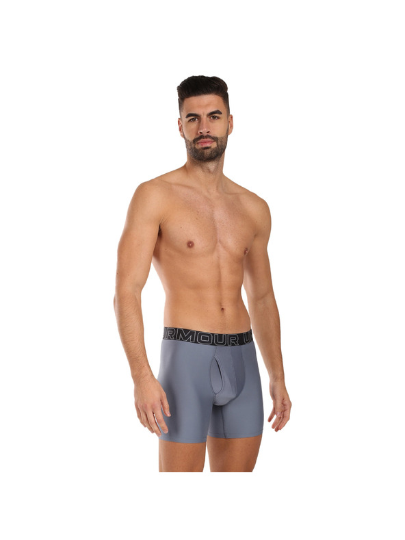 Under Armour Moške boksarice Under Armour M UA Perf Tech Nov 6in - 3pk